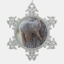 Suche nach lustige eichhörnchen ornamente Baum