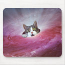Suche nach lustige katze im raum mousepads Katzen