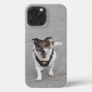 Recherche de chien heureux iphone coques Terrier