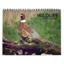 Recherche de de faune calendriers Photographie