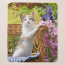 Suche nach bunte katzen decken Blume