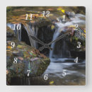 Recherche de cascade horloges Nature