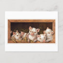 Recherche de porcelets cartes postales Ferme