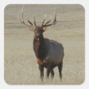 Suche nach elche geschenkverpackung Wapiti