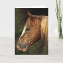 Suche nach appaloosa karten Headshot