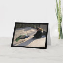 Suche nach spirituell karten Fotografie