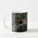 Recherche de panda café tasses Forêt