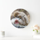 Recherche de monkey photographie Photographie de la nature