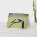 Suche nach ein kleiner vogel sagte mir karten Vögel