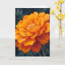 Suche nach ringelblume karten Orange
