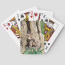 Suche nach roter fuchs spielkarten Natur