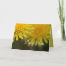 Suche nach gastgeschenke karten Gelb