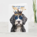 Recherche de portugais anniversaire cartes Amoureux des chiens