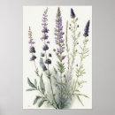 Recherche de lavender poster Pour tous