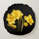 Recherche de fleur de jonquille Narcisse