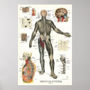 Recherche de anatomy posters Anatomical