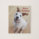 Suche nach niedliche welpen puzzle Labrador retriever