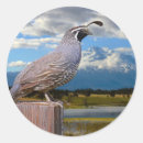 Suche nach mt aufkleber Natur