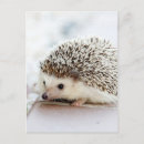 Recherche de hérisson mignon cartes postales Nature