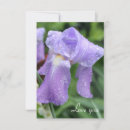 Suche nach feuchte karten Blume