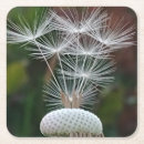 Recherche de macro tissue papier Photographie de la nature
