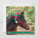 Recherche de cheval bébé invitations Premier rodéo