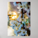 Suche nach büros kunst Blume