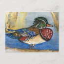 Suche nach vogelmalereien postkarten Aquarellmalerei