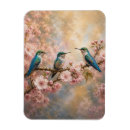 Suche nach kolibris magnete Natur