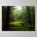 Suche nach baumstamm poster Holz