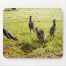Suche nach emu mousepads Australisch
