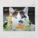 Recherche de poissons de chat cartes postales Chats
