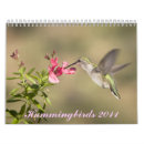 Suche nach kolibri kalender Vogel