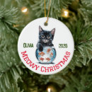 Suche nach fischen spaß ornamente Tiere