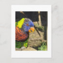 Suche nach pinkeln poster Vögel