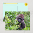 Recherche de gorille sauvage cartes postales Primate