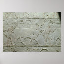 Suche nach rinder poster Kuh