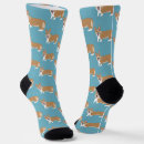 Recherche de corgi chaussettes Chiot