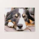 Recherche de colley puzzles Chien de mouton