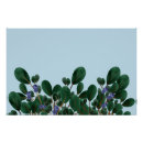 Recherche de un bleuet posters Baie