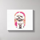Recherche de bichon toiles Chiot