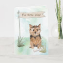 Recherche de canid Dogs