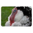 Recherche de dominateur vœux cartes Drôle