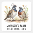 Recherche de volailles autocollants Rustique