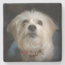 Suche nach hundeliebhaber untersetzer Liebe