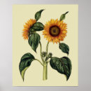 Suche nach 17 kunst Blume