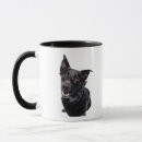 Suche nach misch zucht hund tassen Studioschuß