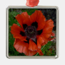 Suche nach orientalisch ornamente Rot