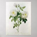 Suche nach engraving poster Joseph
