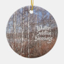 Recherche de arbres de bouleau ornements Hiver